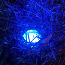 Golfball im Rough angeleuchtet mit dem speziellen Licht des Golfball-Uhu LED Ballfinder
